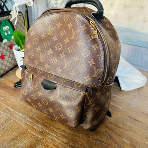 LOUIS VUITTON LV Monogram Palm Springs Backpack MM